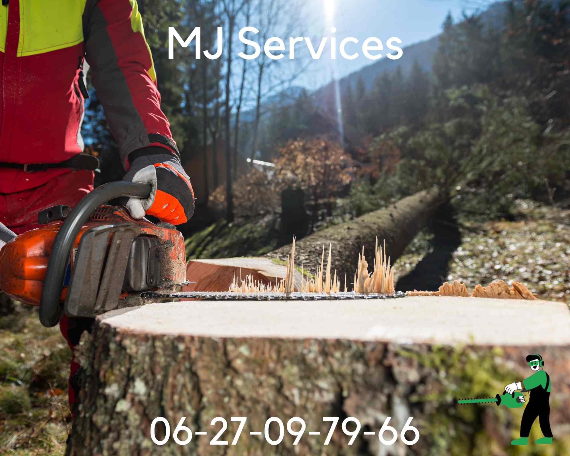 Image mettant en avant la qualité et le professionnalisme de MJ Services Paysagiste lors de l'abattage d'arbres dans la région